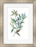 Framed Olive I