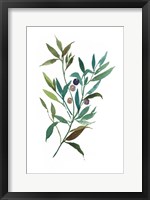 Framed Olive I