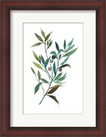 Framed Olive I