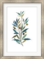 Framed Olive II