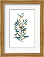 Framed Olive II