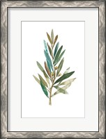 Framed Olive III