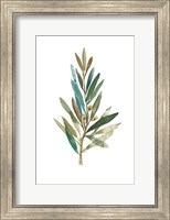 Framed Olive III