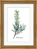 Framed Rosemary I