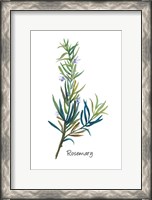 Framed Rosemary I