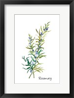 Framed Rosemary II