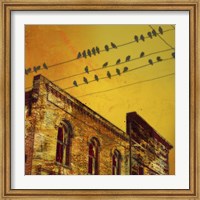 Framed Birds on a Wire I