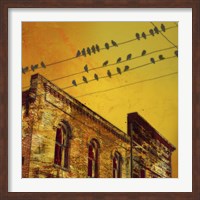 Framed Birds on a Wire I