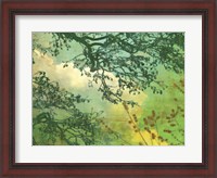 Framed Branches and Clouds
