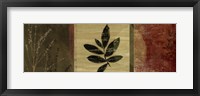 Leaf Impressions II Framed Print