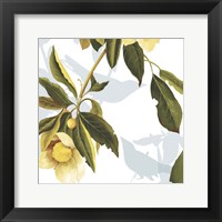 Framed Lemon Floral