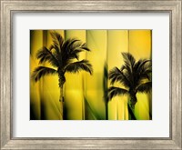 Framed Two Palms