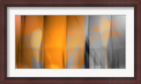 Framed Orange Shades