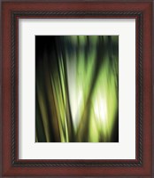 Framed Organic I