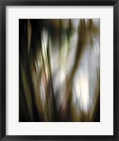 Organic III Framed Print