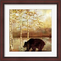 Framed Great Bear