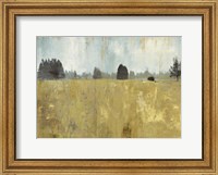 Framed Golden Fields