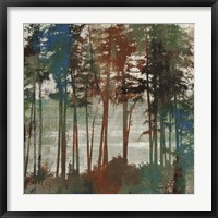 Framed Spruce Woods I