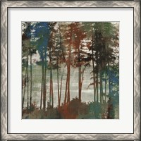 Framed 'Spruce Woods I' border=