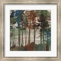 Framed 'Spruce Woods I' border=