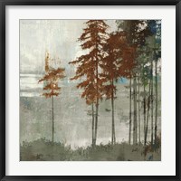 Framed Spruce Woods II