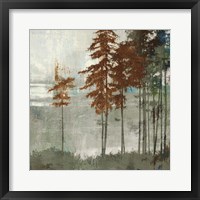 Framed 'Spruce Woods II' border=