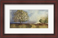 Framed Apple Orchard