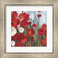 Framed Passion Poppies I
