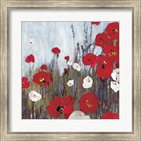 Framed Passion Poppies II