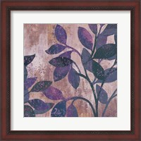 Framed 'Viola II' border=