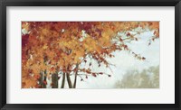Fall Canopy I Framed Print