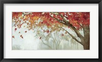 Fall Canopy II Framed Print