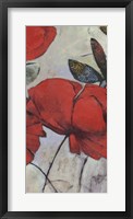 Red Poppy I Framed Print