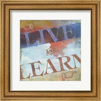 Framed Live and Learn