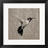 Feathered I Framed Print