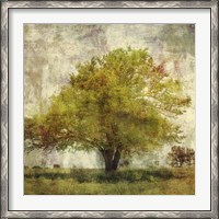 Framed Vintage Tree