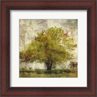 Framed Vintage Tree