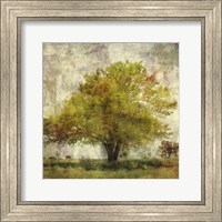 Framed Vintage Tree