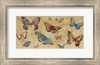 Framed Butterflies in Flight