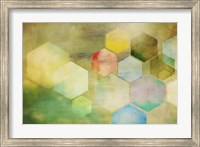 Framed Honeycomb I
