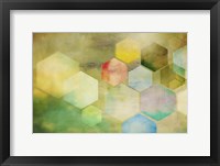 Framed Honeycomb I