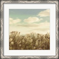 Framed Dandelion Field