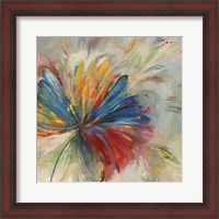 Framed Passion Flower