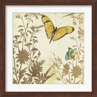 Framed 'Butterfly in Flight I' border=