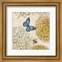 Framed Butterfly in Flight II