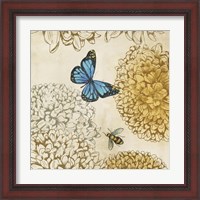 Framed 'Butterfly in Flight II' border=