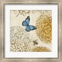 Framed Butterfly in Flight II