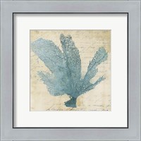 Framed 'Blue Coral I' border=