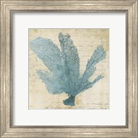 Framed 'Blue Coral I' border=