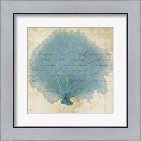 Framed Blue Coral IV